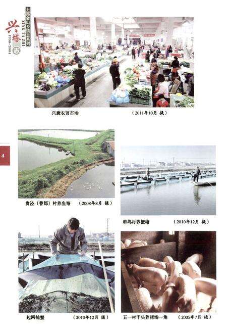 《兴塔志(1990~2004)》.pdf_上海市志预览图5