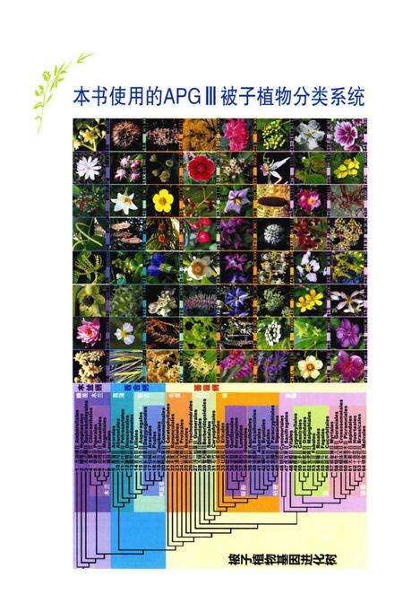 《复旦校园植物图志》.pdf_上海市志预览图5