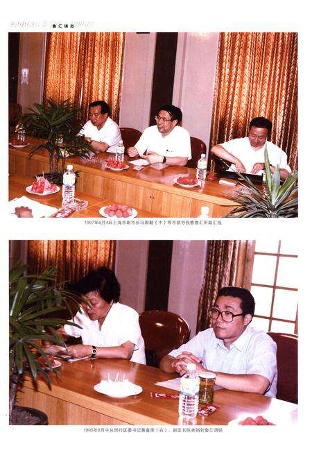 《鲁汇镇志》.pdf_上海市志预览图5