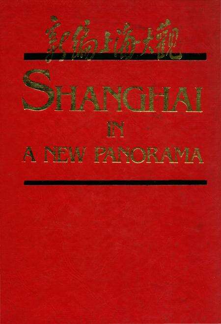 《新编上海大观》.pdf_上海市志缩略图