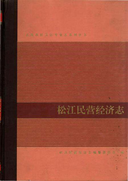 《松江民营经济志》.pdf_上海市志缩略图