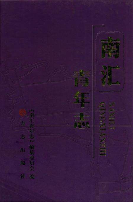 《南汇青年志》.pdf_上海市志缩略图