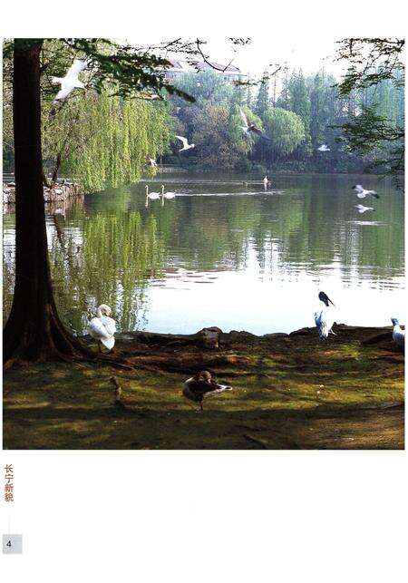 《上海市长宁区志（1993-2005）》.pdf_上海市志预览图5