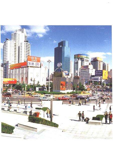 《上海市徐汇区徐家汇街道志 1994-2014》.pdf_上海市志预览图4