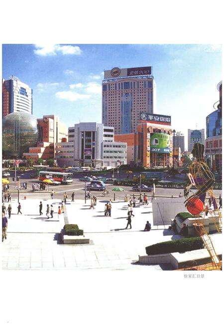 《上海市徐汇区徐家汇街道志 1994-2014》.pdf_上海市志预览图5