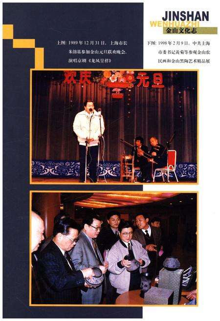 《金山文化志》.pdf_上海市志预览图4