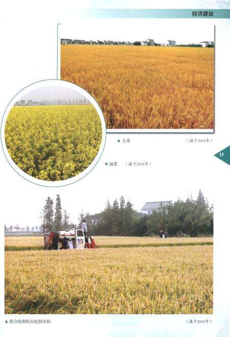 《干巷镇志1990-2004》.pdf_上海市志预览图5