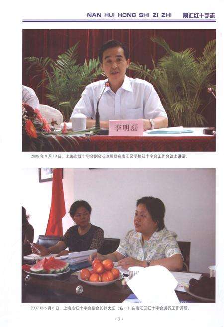 《南汇红十字志》.pdf电子版_上海市志预览图5