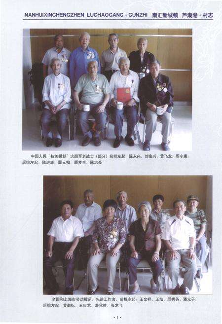 《南汇新城镇芦潮港镇志》.pdf电子版_上海市志预览图5