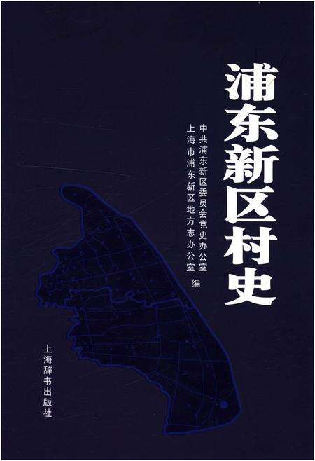 《浦东新区村史》.pdf电子版_上海市志缩略图