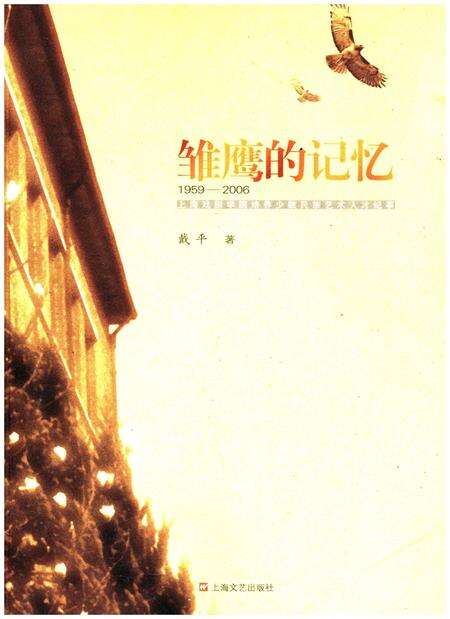 《雏鹰的记忆 上海戏剧学院培养少数民族艺术人才纪事 1959-2006》.pdf电子版_上海市志缩略图