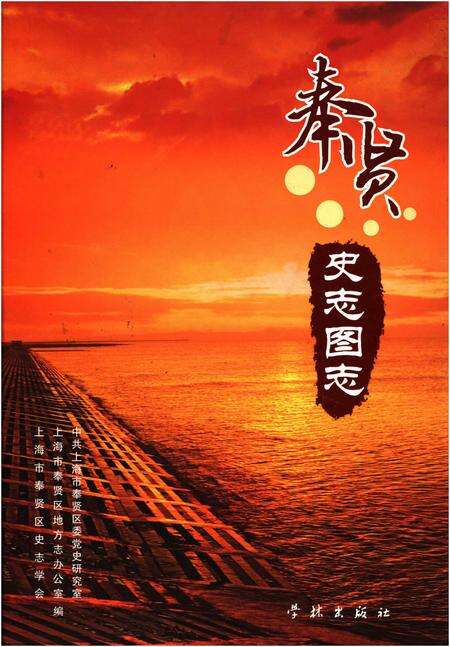 《奉贤史志图志》.pdf电子版_上海市志缩略图