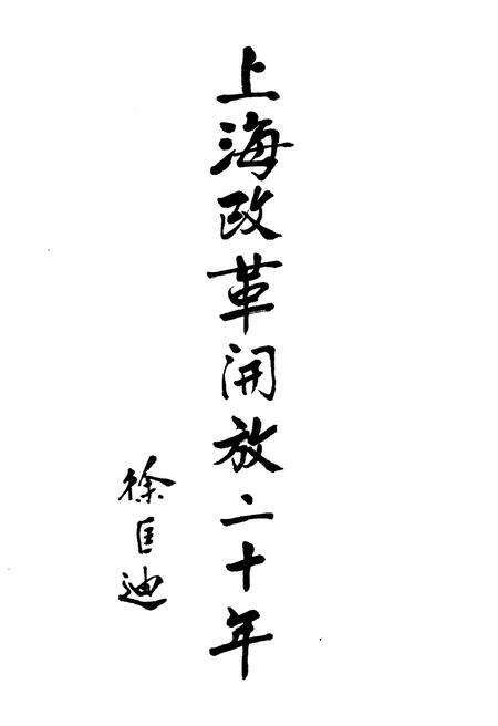 《上海改革开放二十年 文化卷》.pdf电子版_上海市志预览图1