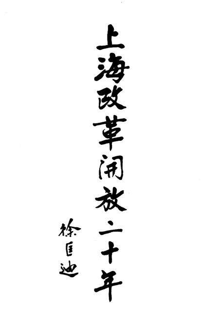 《上海改革开放二十年 闵行卷》.pdf电子版_上海市志预览图1