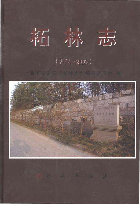 《柘林志》.pdf电子版_上海市志缩略图