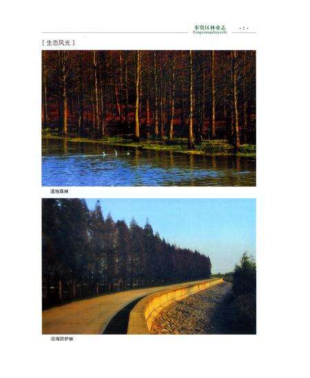 《奉贤区林业志》.pdf电子版_上海市志预览图3