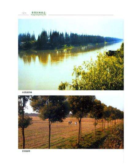 《奉贤区林业志》.pdf电子版_上海市志预览图4