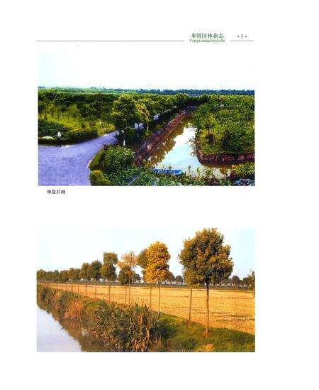 《奉贤区林业志》.pdf电子版_上海市志预览图5