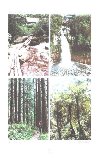 《新编宝山风物志》.pdf电子版_上海市志预览图4