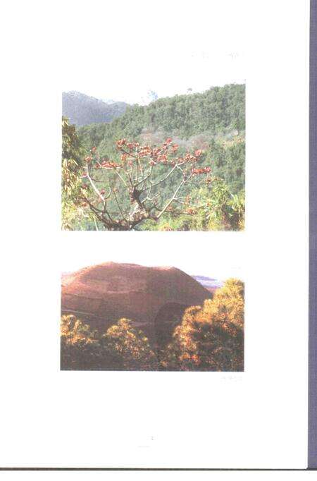 《新编宝山风物志》.pdf电子版_上海市志预览图5