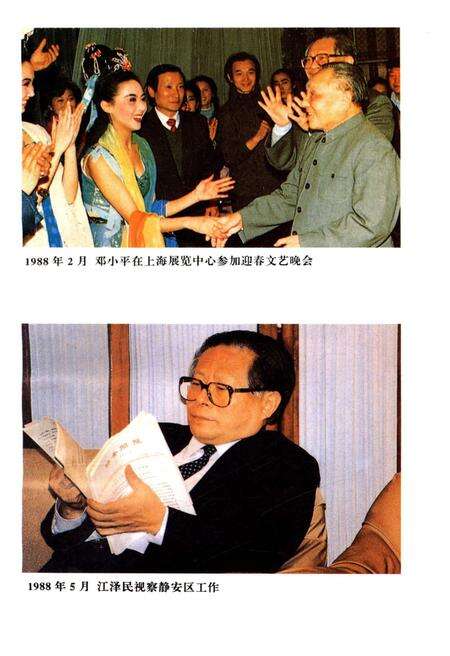 《上海改革开放二十年 静安卷》.pdf电子版_上海市志预览图4