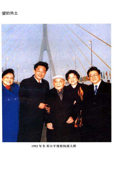 《上海改革开放二十年 浦东卷》.pdf电子版_上海市志预览图4