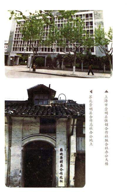 《崇明县供销合作商业史》.pdf电子版_上海市志预览图5
