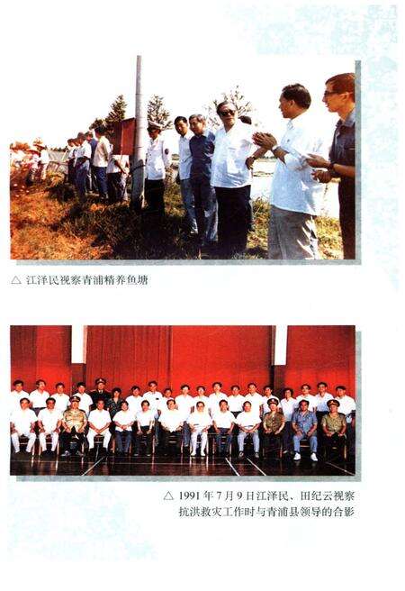 《上海改革开放二十年 青浦卷》.pdf电子版_上海市志预览图5