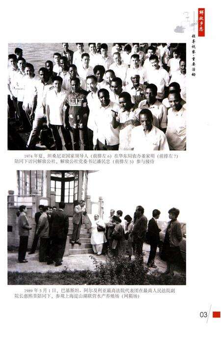 《解放乡志》.pdf电子版_上海市志预览图5