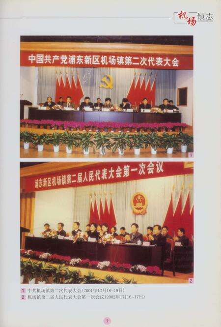 《机场镇志》.pdf电子版_上海市志预览图3