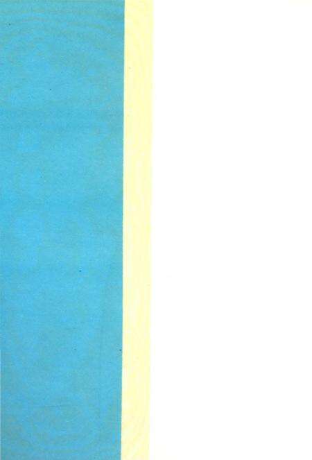 《松江文物胜迹志》.pdf电子版_上海市志预览图1