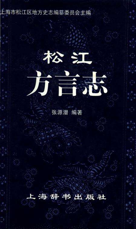 《松江方言志》.pdf电子版_上海市志缩略图