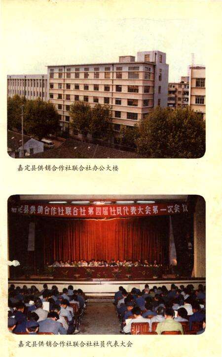 《嘉定县供销合作商业志》.pdf电子版_上海市志预览图1