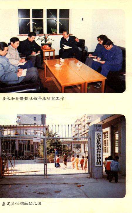 《嘉定县供销合作商业志》.pdf电子版_上海市志预览图3