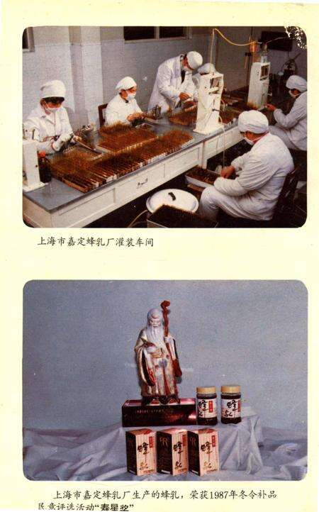 《嘉定县供销合作商业志》.pdf电子版_上海市志预览图5