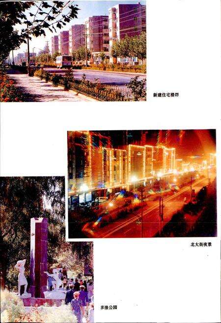 《阿克苏市志》.pdf_新疆维吾尔自治区志预览图4