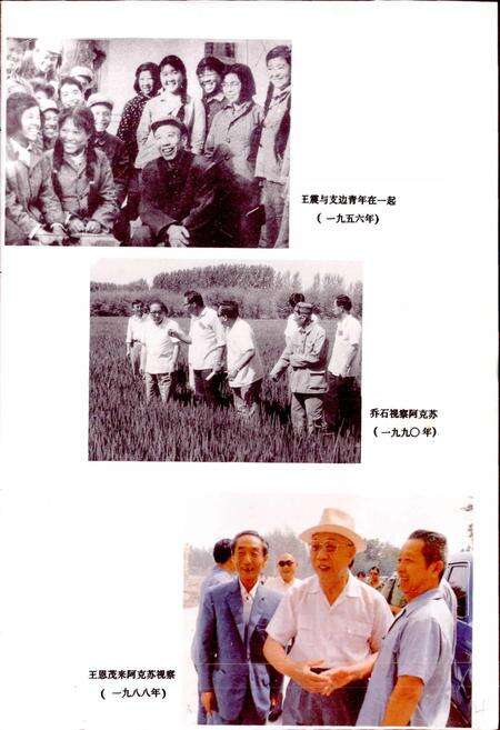 《阿克苏市志》.pdf_新疆维吾尔自治区志预览图5