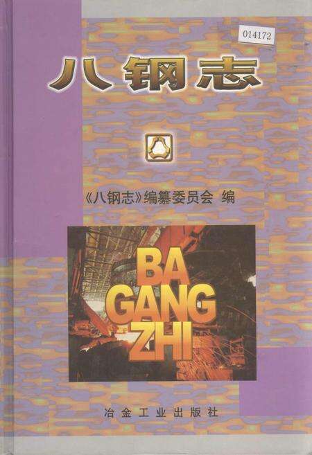 《八钢志》.pdf_新疆维吾尔自治区志缩略图
