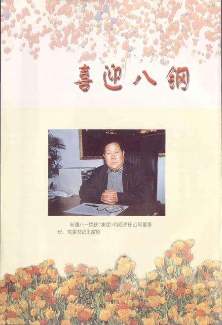 《八钢志》.pdf_新疆维吾尔自治区志预览图2