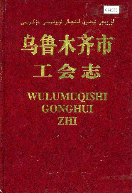 《乌鲁木齐市工会志》.pdf_新疆维吾尔自治区志缩略图