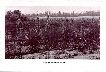 《麦盖提县志》.pdf_新疆维吾尔自治区志预览图4