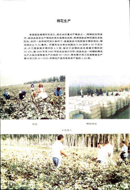 《麦盖提县志》.pdf_新疆维吾尔自治区志预览图5