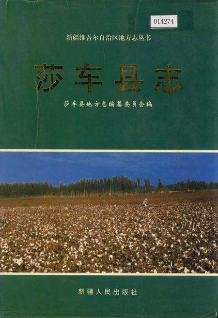 《莎车县志》.pdf_新疆维吾尔自治区志缩略图