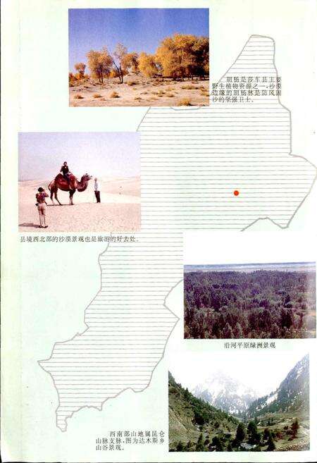 《莎车县志》.pdf_新疆维吾尔自治区志预览图5