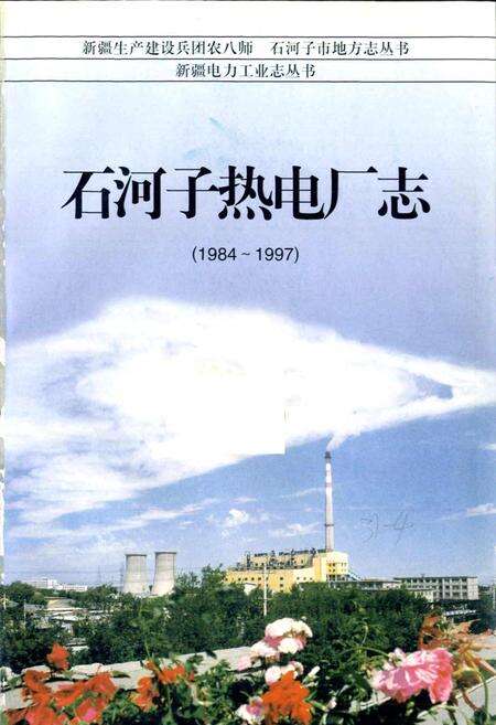 《石河子热电厂志》.pdf_新疆维吾尔自治区志预览图1