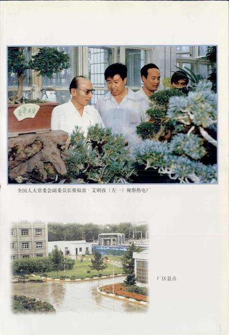 《石河子热电厂志》.pdf_新疆维吾尔自治区志预览图3