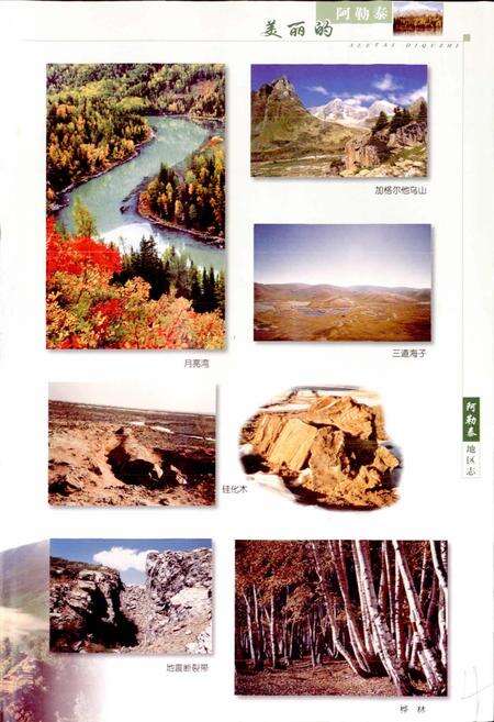 《阿勒泰地区志》.pdf_新疆维吾尔自治区志预览图5