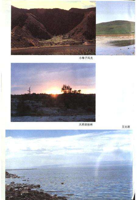 《精河县志》.pdf_新疆维吾尔自治区志预览图4