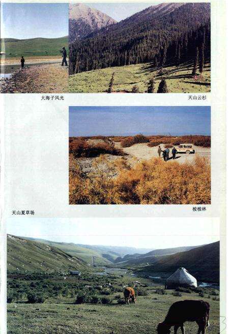 《精河县志》.pdf_新疆维吾尔自治区志预览图5