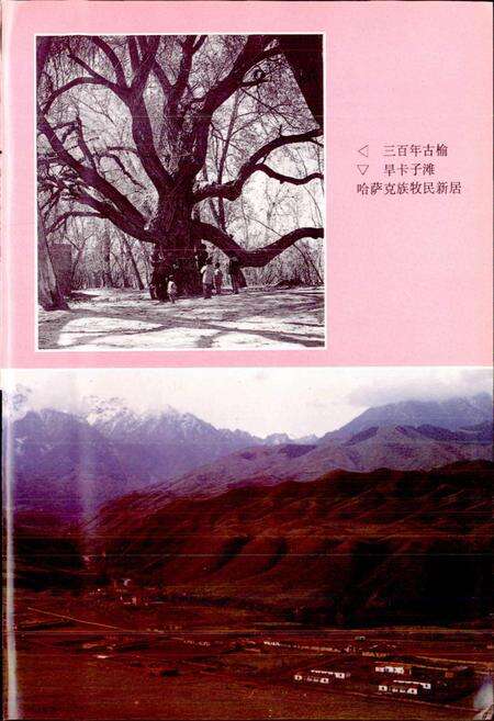 《玛纳斯县志》.pdf_新疆维吾尔自治区志预览图4